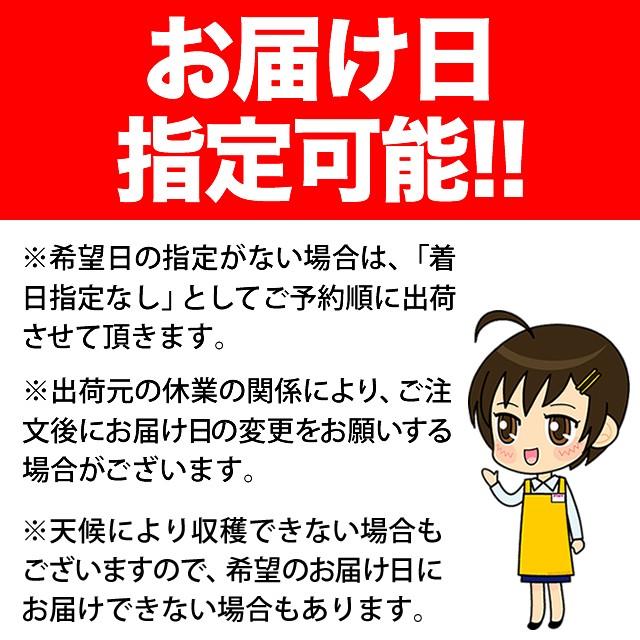 【2024年予約】 とうもろこし 送料無料 北海道産 あまいんです 10本入り 南幌町明るい農村ネットワーク 2セット購入で5本おまけ！｜hokkaido-gourmation｜04