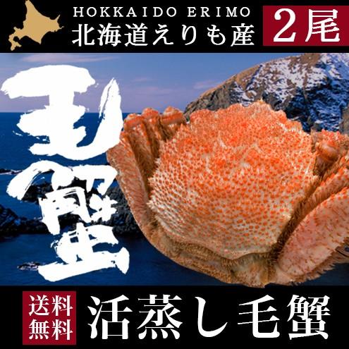 毛蟹 毛ガニ 北海道 ギフト 北海道産 えりも活蒸し毛蟹2尾（1尾：約 