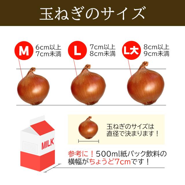 予約受付中 新じゃがいも 送料無料 北海道産 じゃが玉セット 男爵5kg(Mサイズ以上)＆玉ねぎ5kg(L〜L大)合計10kg / 10キロ 野菜セット  詰め合わせ 北海道 :t-maeda-zyagatama-a-set:ギフトグルメ北海道 - 通販 - Yahoo!ショッピング
