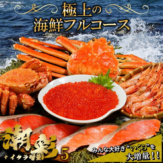 海鮮セット 北海道 お取り寄せ 特選 H / ズワイガニ 海鮮 人気 セット