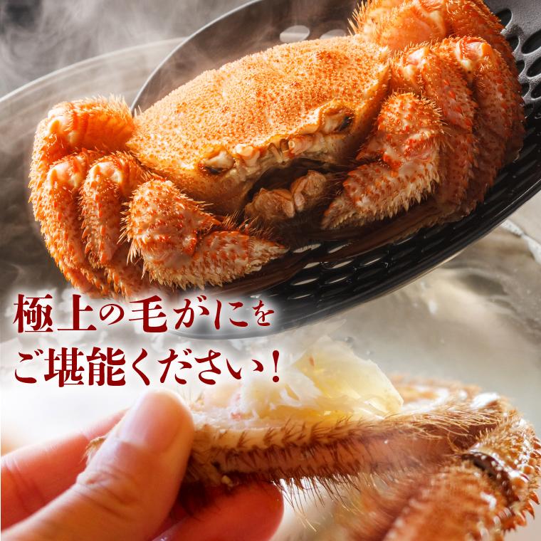 父の日 2024 カニ ギフト かに 送料無料 北海道産 毛ガニ 1尾 360g×11尾(ボイル済み) / 内祝い お返し 毛蟹 毛ガニ 詰め合わせ 姿 蟹姿 茹で ボイル済み 冷凍｜hokkaido-gourmation｜18