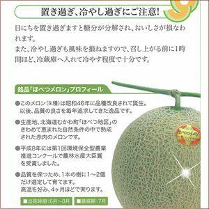 年ご予約承り中 7月出荷開始 お中元 フルーツ ギフト 送料無料 共選 ほべつメロン 1玉入り 優品 1 6kg 1玉 北海道 御中元 産地直送 穂別メロン Yuni S Hobetu Yu 16 1p ギフト グルメ北海道 通販 Yahoo ショッピング