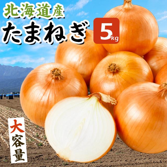 玉ねぎ 玉葱 送料無料 北海道産 5kg(Sサイズ以上) / たまねぎ タマネギ