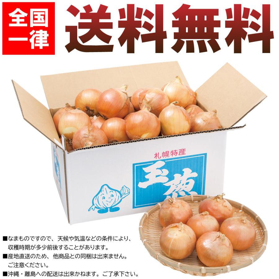 今期分終売】北海道札幌市 岩波農園の玉ねぎ 札幌黄(さっぽろき 今期分終売】北海道札幌市 岩波農園の玉ねぎ 札幌黄(さっぽろき