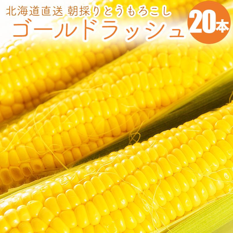 予約】ゴールドラッシュ 20本 北海道産 とうもろこし 朝もぎ