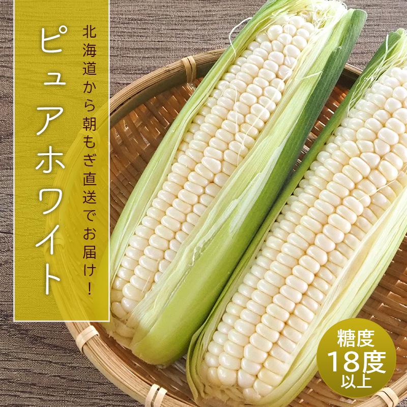予約】 ピュアホワイト 10本 北海道産 とうもろこし 朝もぎ白い 