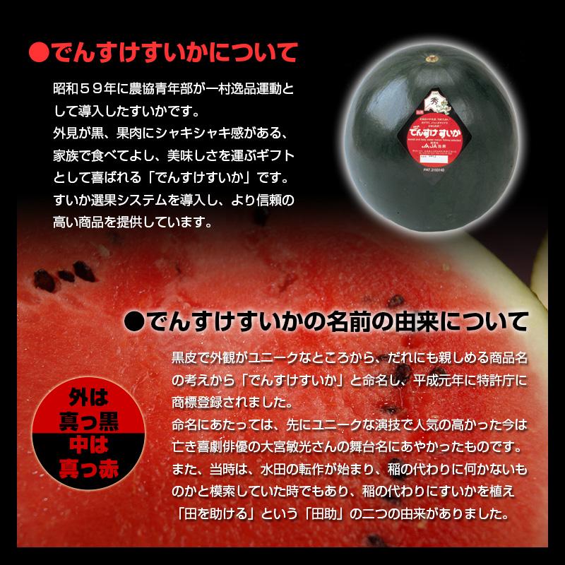 予約】でんすけすいか（秀品）5L／10kg 1玉 通販 スイカ 北海道産 黒