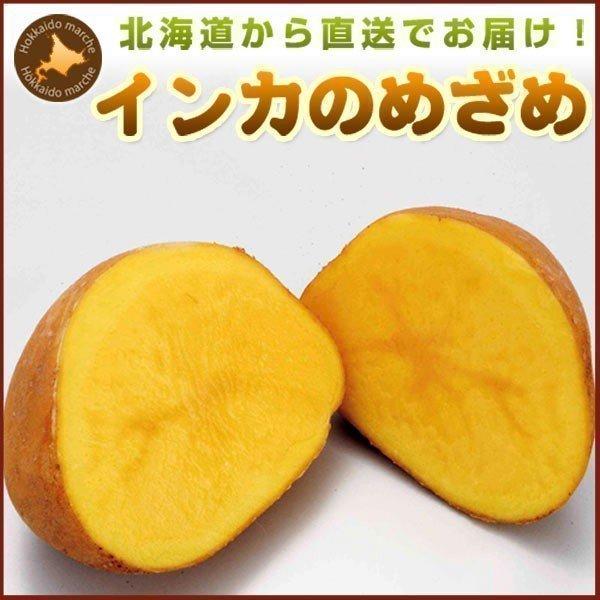 じゃがいも 北海道 インカのめざめ 5kg 正品・S/M/LM/L/2L混 【新じゃがいも】 ギフト 野菜 北海道産 お礼 御祝 お取り寄せ