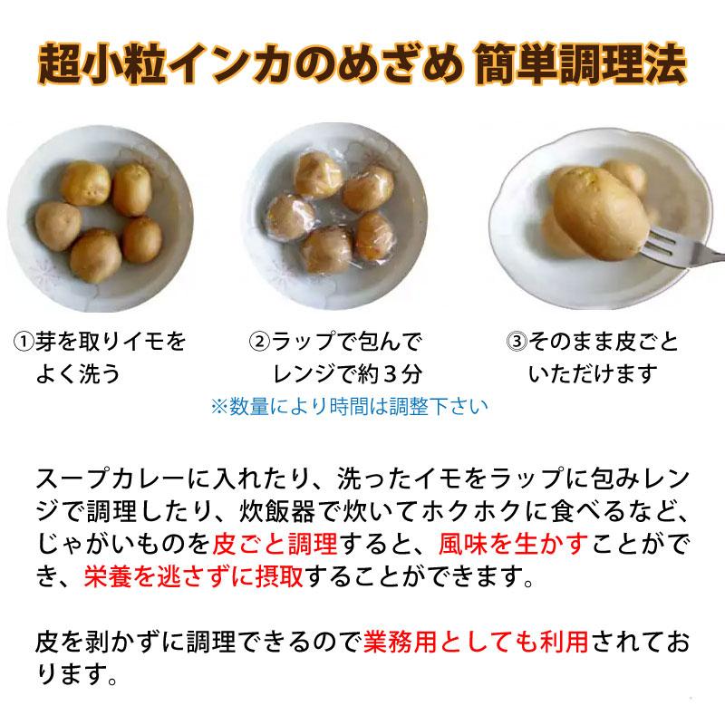 新じゃがいも ジャガイモ インカのめざめ 3kg 超小粒SS じゃがいも
