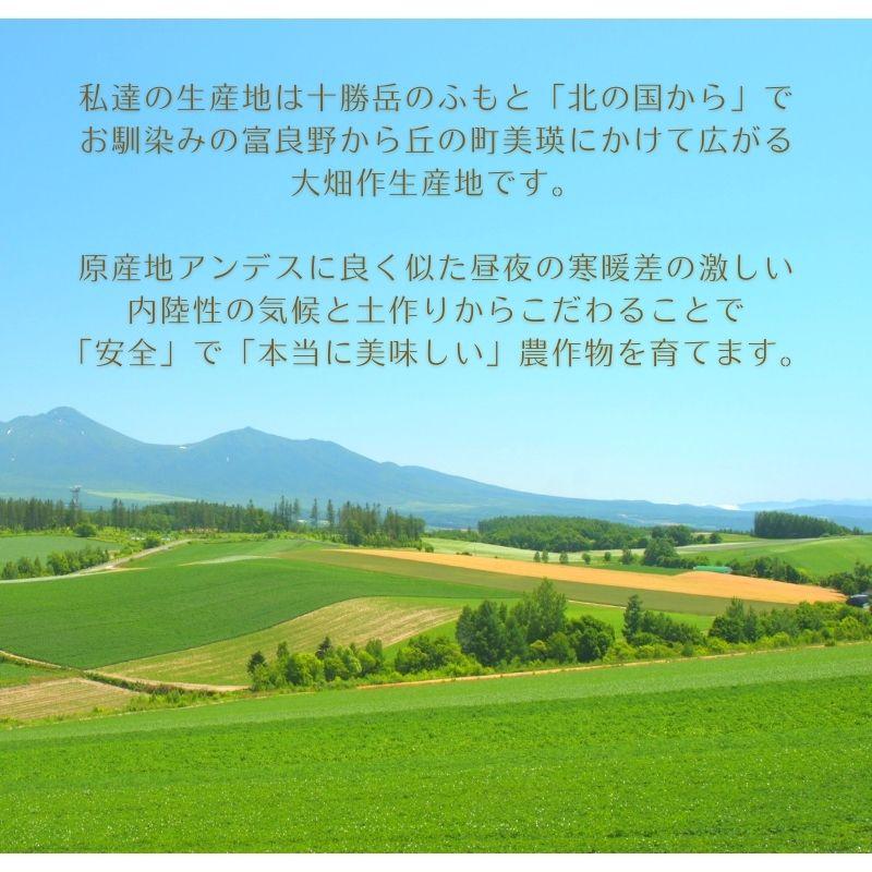 新じゃがいも】 じゃがいも きたあかり 10kg 規格外 不揃い 自宅用 北海道 お取り寄せ 業務用 野菜 道産野菜 北海道産 産直 ジャガイモ 敬老 :imkita-w10k:とうもろこし・じゃがいも・玉ねぎは北海道マルシェ - 通販 - Yahoo!ショッピング 新じゃがいも】 じゃがいも きたあかり 10kg 規格外 不揃い 自宅用 北海道 お取り寄せ 業務用 野菜 道産野菜 北海道産 産直 ジャガイモ 敬老 :imkita-w10k:とうもろこし・じゃがいも・玉ねぎは北海道マルシェ - 通販 - Yahoo!ショッピング