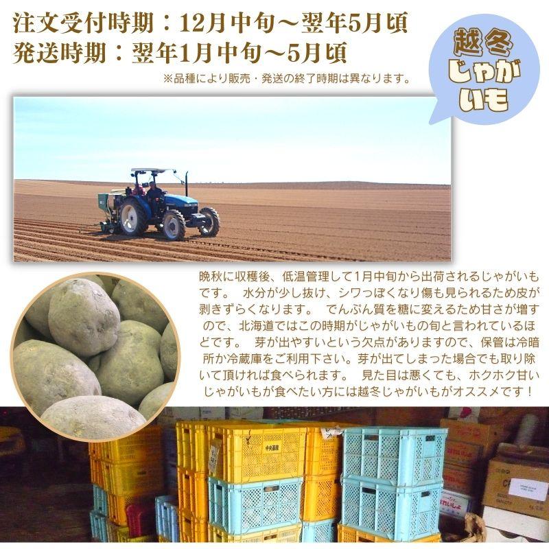 新じゃがいも】 じゃがいも きたあかり 10kg 規格外 不揃い 自宅用 北海道 お取り寄せ 業務用 野菜 道産野菜 北海道産 産直 ジャガイモ 敬老 :imkita-w10k:とうもろこし・じゃがいも・玉ねぎは北海道マルシェ - 通販 - Yahoo!ショッピング 新じゃがいも】 じゃがいも きたあかり 10kg 規格外 不揃い 自宅用 北海道 お取り寄せ 業務用 野菜 道産野菜 北海道産 産直 ジャガイモ 敬老 :imkita-w10k:とうもろこし・じゃがいも・玉ねぎは北海道マルシェ - 通販 - Yahoo!ショッピング