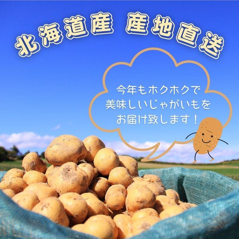 新じゃがいも】 じゃがいも たまねぎ のじゃが玉セットA きたあかり LM/L/2L 5kg 玉ねぎ 4kg 野菜 北海道産 産直 内祝 北海道ギフト 敬老 :imset-jt01:とうもろこし・じゃがいも・玉ねぎは北海道マルシェ - 通販 - Yahoo!ショッピング 新じゃがいも】 じゃがいも たまねぎ のじゃが玉セットA きたあかり LM/L/2L 5kg 玉ねぎ 4kg 野菜 北海道産 産直 内祝 北海道ギフト 敬老 :imset-jt01:とうもろこし・じゃがいも・玉ねぎは北海道マルシェ - 通販 - Yahoo!ショッピング