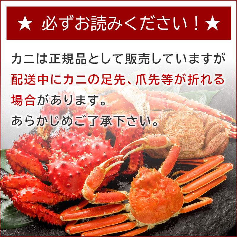厳選タラバガニ足 ４Ｌ 800g×１肩 たらばがに カニ かに 蟹 タラバカニ 海鮮ギフト 蟹ギフト_14