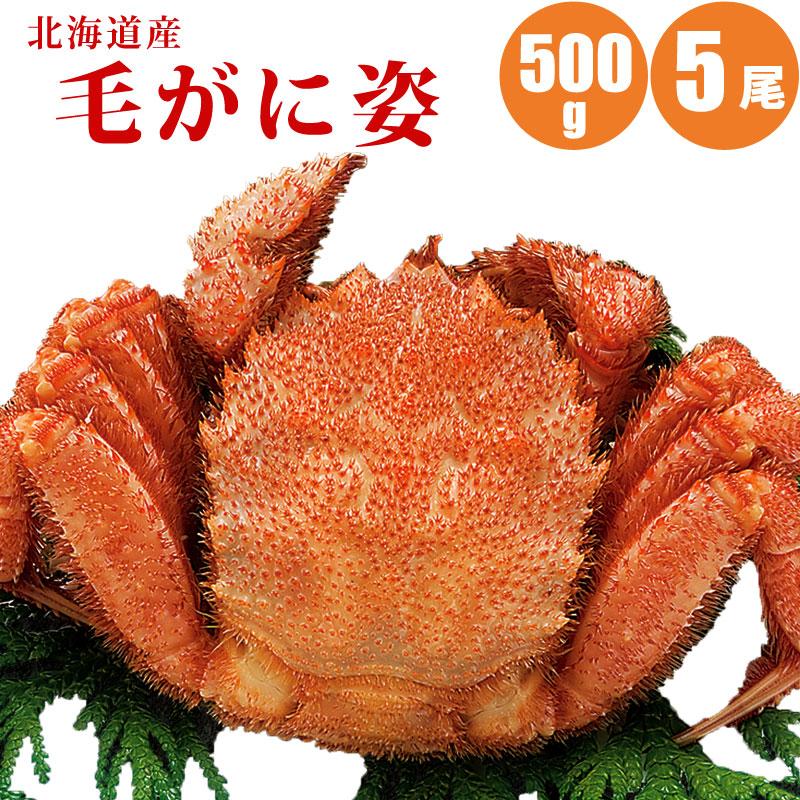 北海道 毛蟹 Kkes0505 アスパラガスは北海道マルシェ 毛ガニ ギフト 5尾 5尾 500g かに 食品 蟹 カニ 毛ガニ