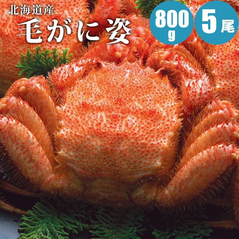 割引超大特価 の毛ガニ 800g 5尾 北海道 毛蟹 800g カニ かに 魚介類 海産物 カニ 蟹 ギフト Kkes0805 お中元 暑中見舞は 北海道マルシェ