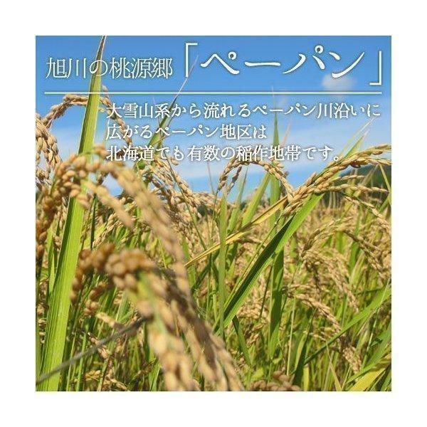 2025年度産 ゆめぴりか 10kg 米 北海道米 お米 北海道ギフト : 北海道 