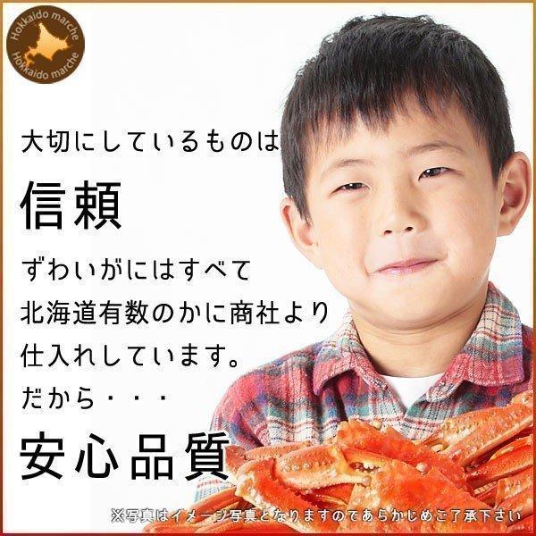 カニ 蟹 ズワイ ズワイガニ 姿 500g× 2尾 ズワイガニ ボイル 内祝 お歳暮 御祝 寒中見舞 年末年始 お正月 御年賀 北海道ギフト｜hokkaido-marche｜03