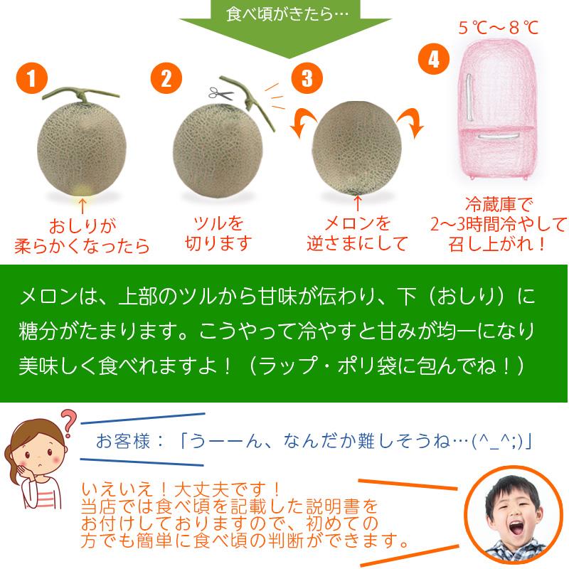 予約順に順次発送中】 富良野メロン 1.3kg (Lサイズ)× 1玉 北海道