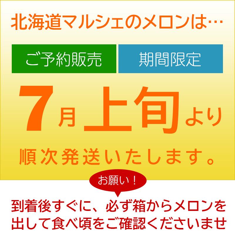 富良野メロン 約15キロ 道央近郊のみ直接配送 予約順に順次発送中