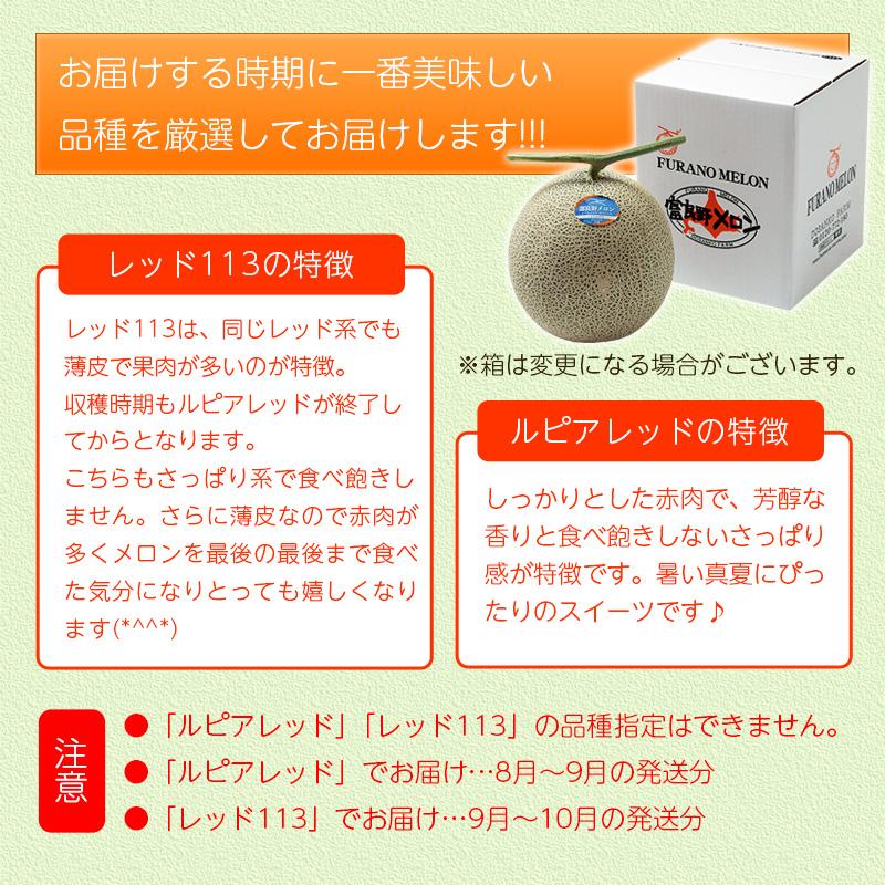予約順に順次発送中】 富良野メロン 1.3kg (Lサイズ)× 1玉 北海道