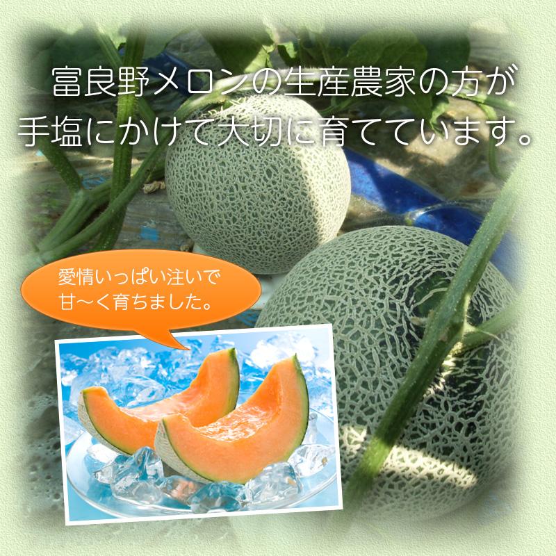 予約順に順次発送中】富良野メロン 1.6kg (2Lサイズ)× 2玉 北海道