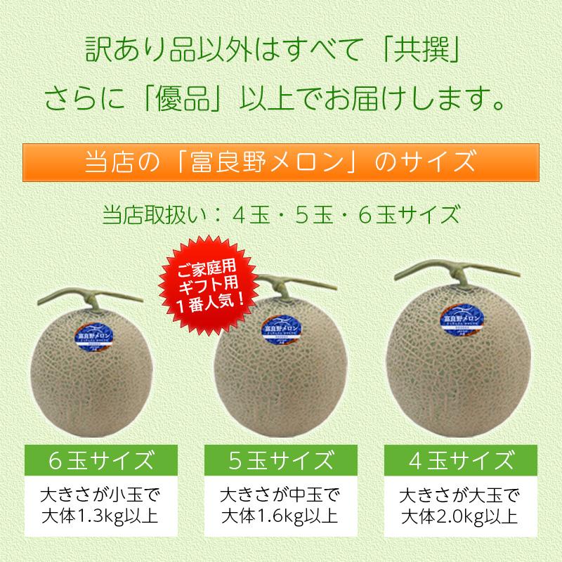 予約順に順次発送中】富良野メロン 1.6kg (2Lサイズ)× 2玉 北海道