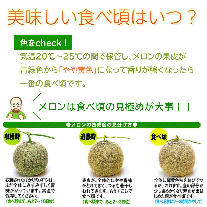 予約順に順次発送中】 龍の鈴メロン・富良野メロン 食べ比べ 1.6kg (2L