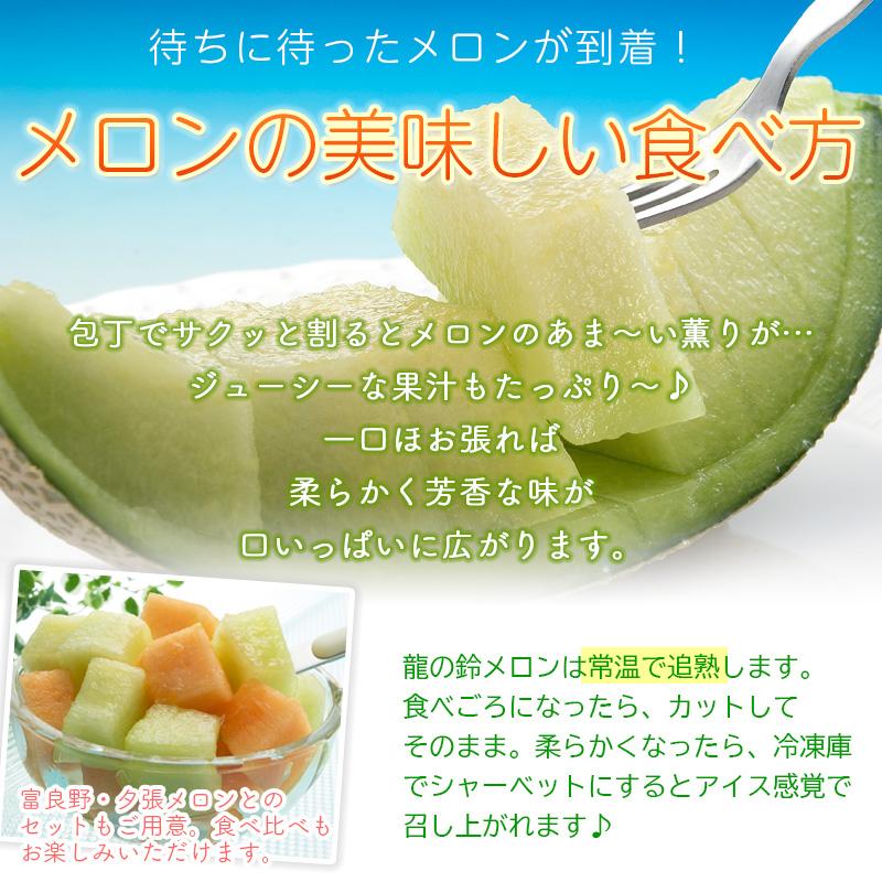 予約】 夕張メロン 龍の鈴メロン 食べ比べ 1.3kg (Lサイズ)× 2玉