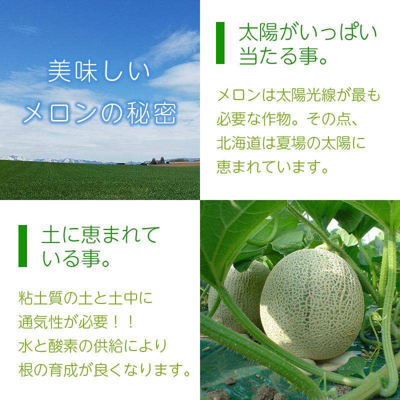 予約順に順次発送中】 夕張メロン・富良野メロン 食べ比べ 2kg (3L