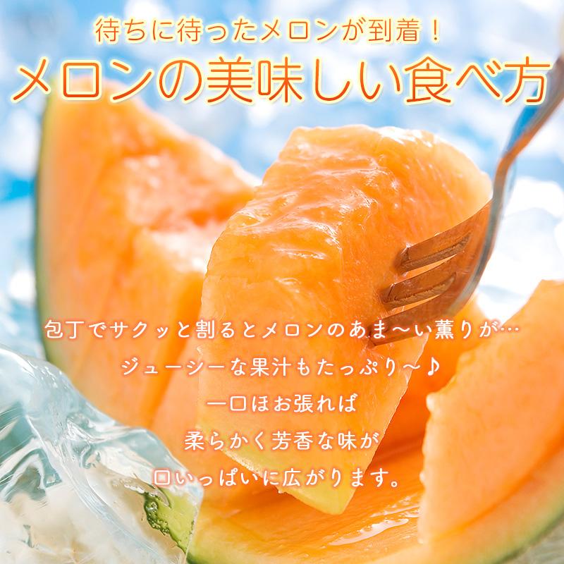 予約】 夕張メロン 1.3kg (Lサイズ)× 1玉 メロン 北海道 北海道産 赤