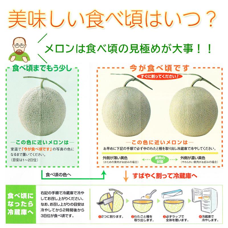 予約】 夕張メロン 1.3kg (Lサイズ)× 1玉 メロン 北海道 北海道産 赤