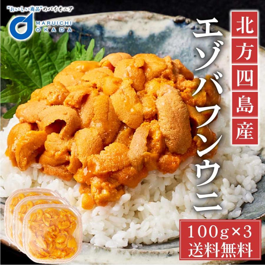お手軽価格で贈りやすい 塩水うに 100gx3パック 北方四島産 送料無料 冷蔵配送 生うに バフン ウニ 生ウニ 雲丹 場外市場 無添加 塩水パック 遅れてごめんね 父の日 お中元 御中元 Materialworldblog Com