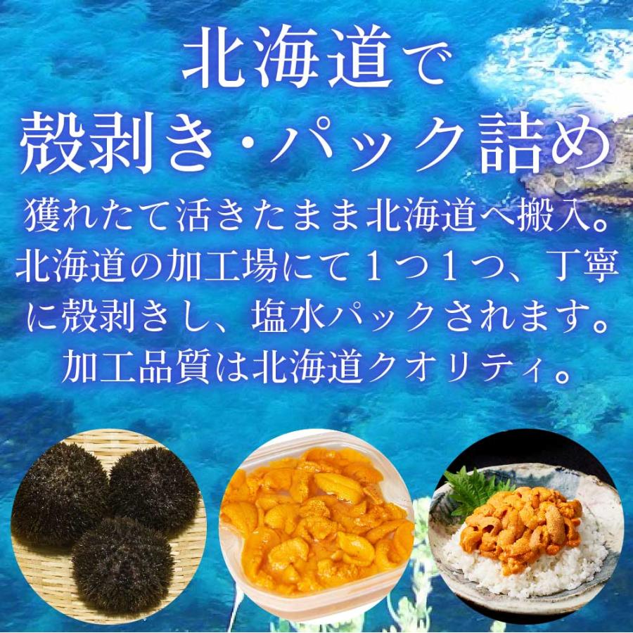 塩水うに 100gx3パック 北方四島産 送料無料 冷蔵配送 生うに バフン ウニ 生ウニ 雲丹 場外市場 無添加 塩水パック 母の日 プレゼント｜hokkaido-okada｜03