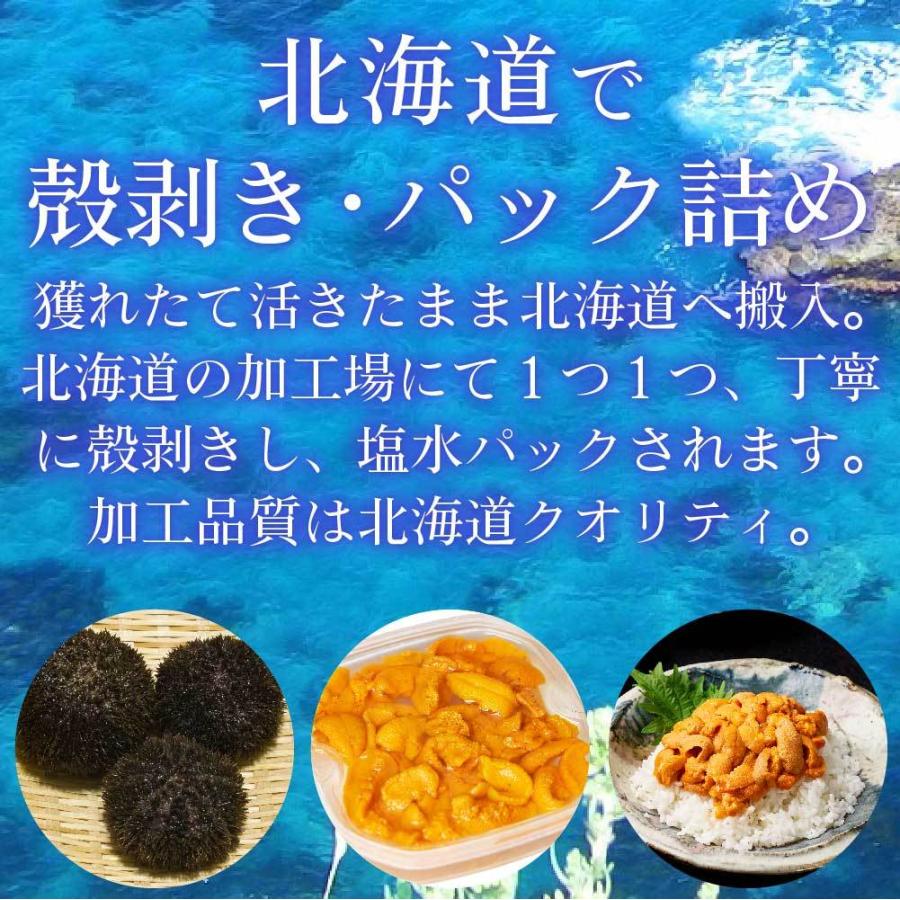父の日 プレゼント 塩水うに 100g 4パック 送料無料 冷蔵配送 生うに バフン 塩水パック 生ウニ ウニ 無添加 北海道 期間限定で特別価格 雲丹 場外市場 グルメ