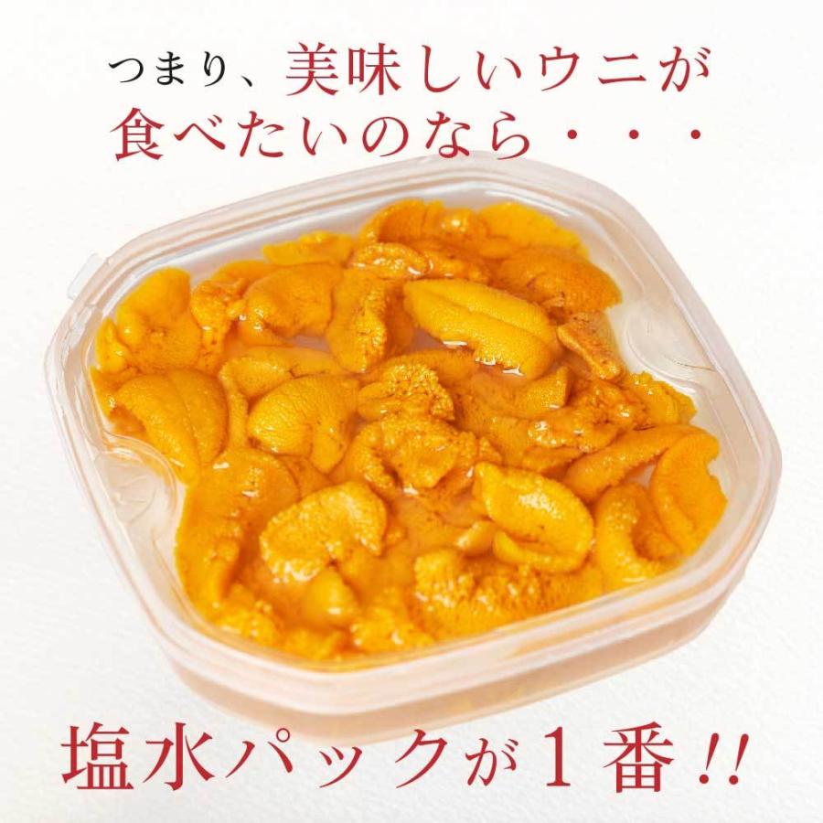 父の日 プレゼント 塩水うに 100g 4パック 送料無料 冷蔵配送 生うに バフン 塩水パック 生ウニ ウニ 無添加 北海道 期間限定で特別価格 雲丹 場外市場 グルメ