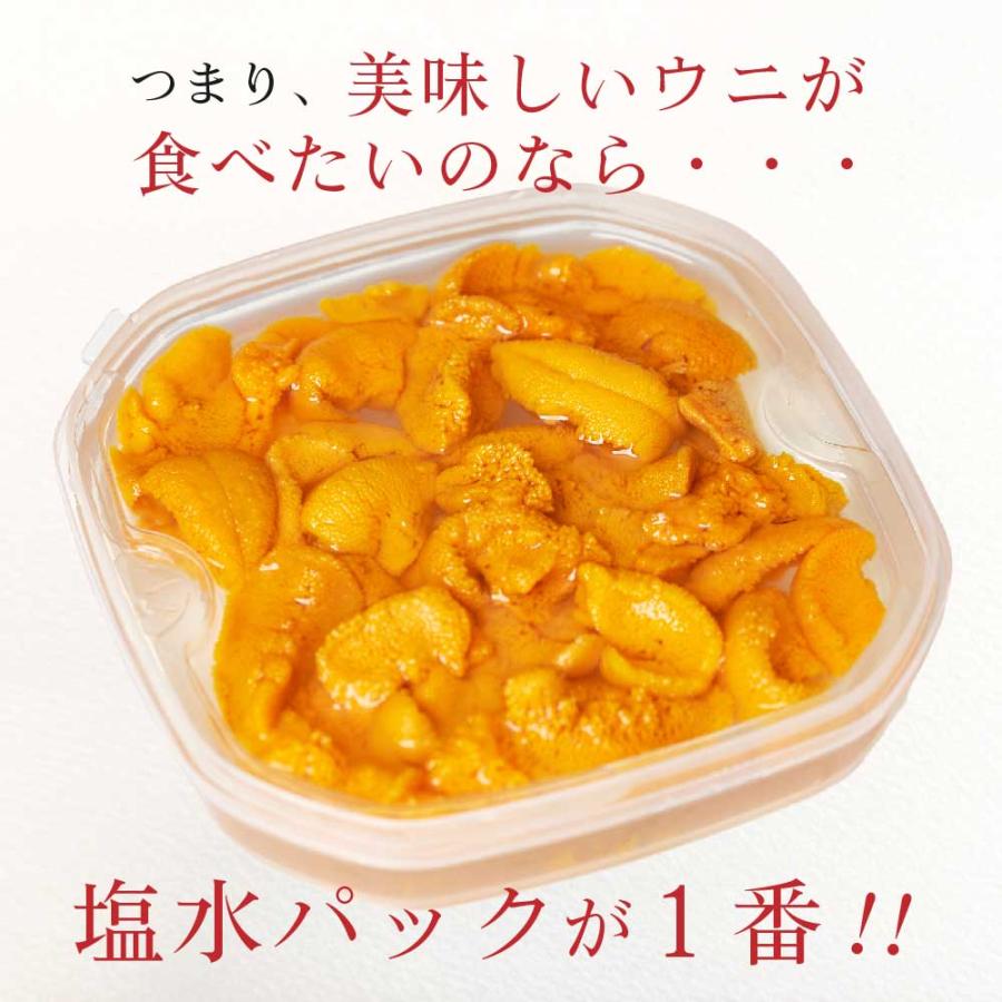 塩水うに 100g 送料無料 冷蔵配送 北方四島産 バフン 生ウニ 塩水うに 100g 送料無料 冷蔵配送 北方四島産 バフン 生ウニ