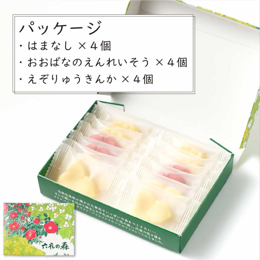 六花亭 六花の森 チョコレート 12枚入 × 1箱北海道 お土産 チョコ 個