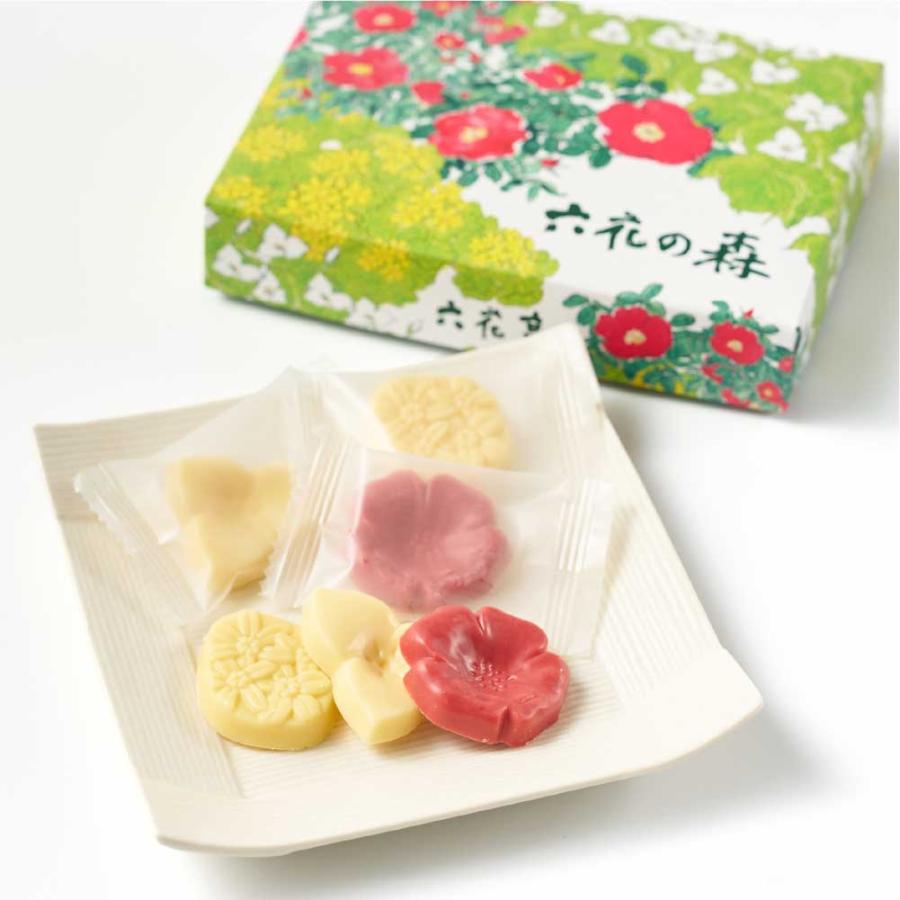 六花亭 六花の森 チョコレート 12枚入 × 1箱北海道 お土産 チョコ 個