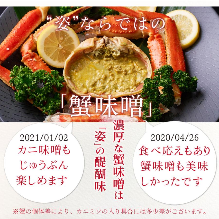 本ズワイガニ 姿 650g 2尾セット 特大 ズワイ蟹 ずわいがに ずわい蟹