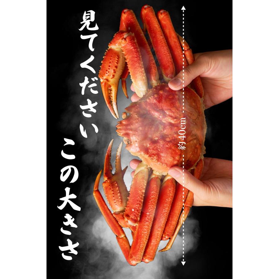 本ズワイガニ 姿 650g 2尾セット 特大 ズワイ蟹 ずわいがに ずわい蟹