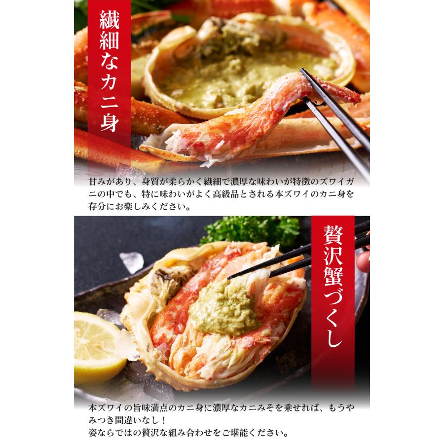 本ズワイガニ 姿 650g 2尾セット 特大 ズワイ蟹 ずわいがに ずわい蟹