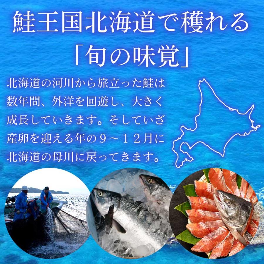 送料無料 北海道産 新巻鮭 半身 約1kg 切身 真空 北海道 あらまき さけ 海鮮 ギフト プレゼント グルメ 食品ロス 父の日 プレゼント｜hokkaido-okada｜05