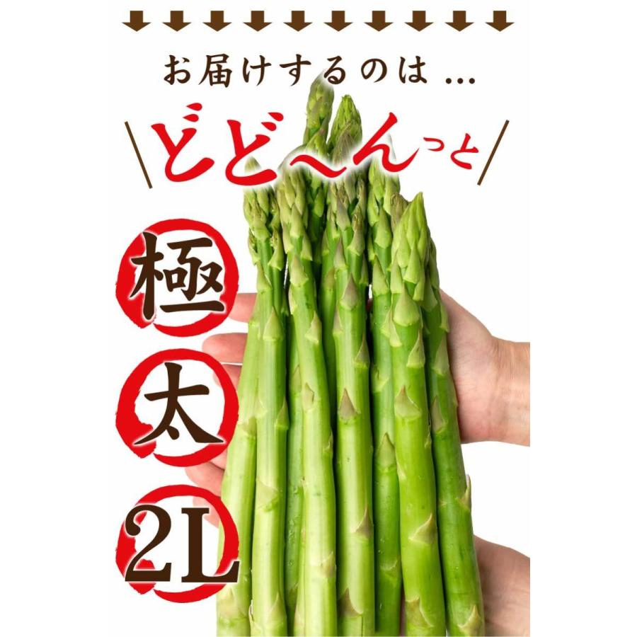 訳ありセール ドライ そらプリ モリソニア 小分け ライラック Spfc0067 ドライフラワー花材 カスミ草