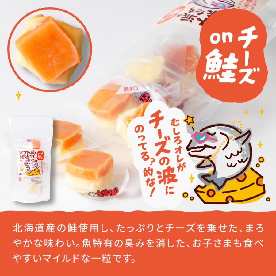 おつまみ　スルメ　ほたて　甘栗　カツ　おかき おつまみ ソフト派の珍味たち 【選べる】チーズ 帆立 鮭 焼きいか 8粒