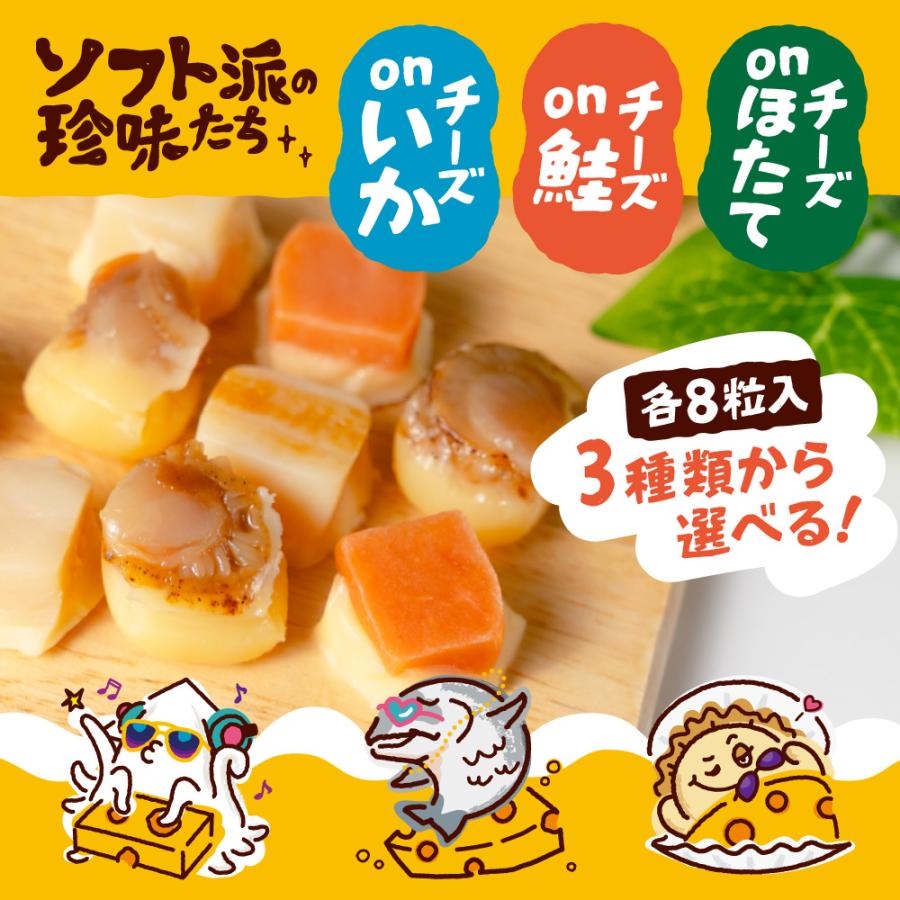おつまみ ソフト派の珍味たち 【選べる】チーズ 帆立 鮭 焼きいか 8粒