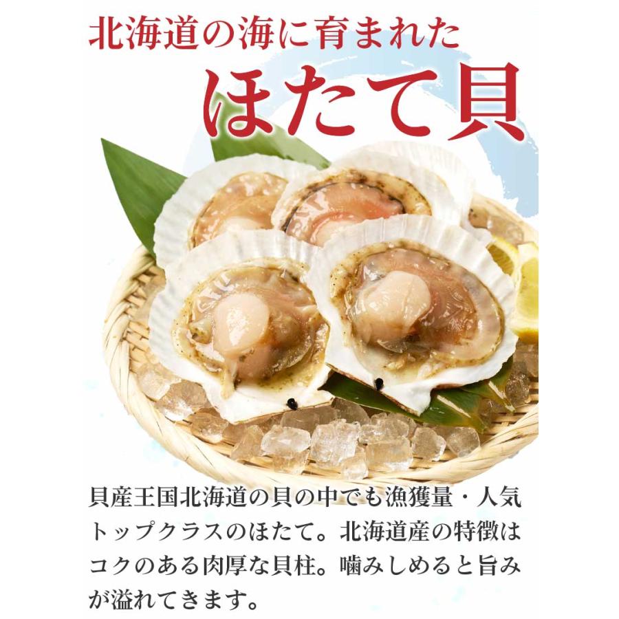 カンカン焼き 北海道産 ホタテ15枚 ミニ缶入 ほたて 帆立 片貝付き 札幌中央卸売市場 BBQ バーベュー 海鮮 冷凍 母の日 プレゼント｜hokkaido-okada｜07