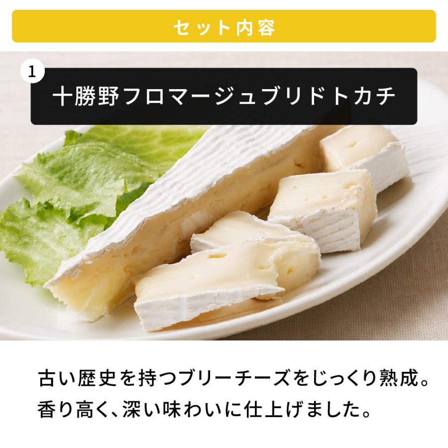 予約：6月下旬順次発送 今月だけの北海道チーズBOX チーズ3種セット 十