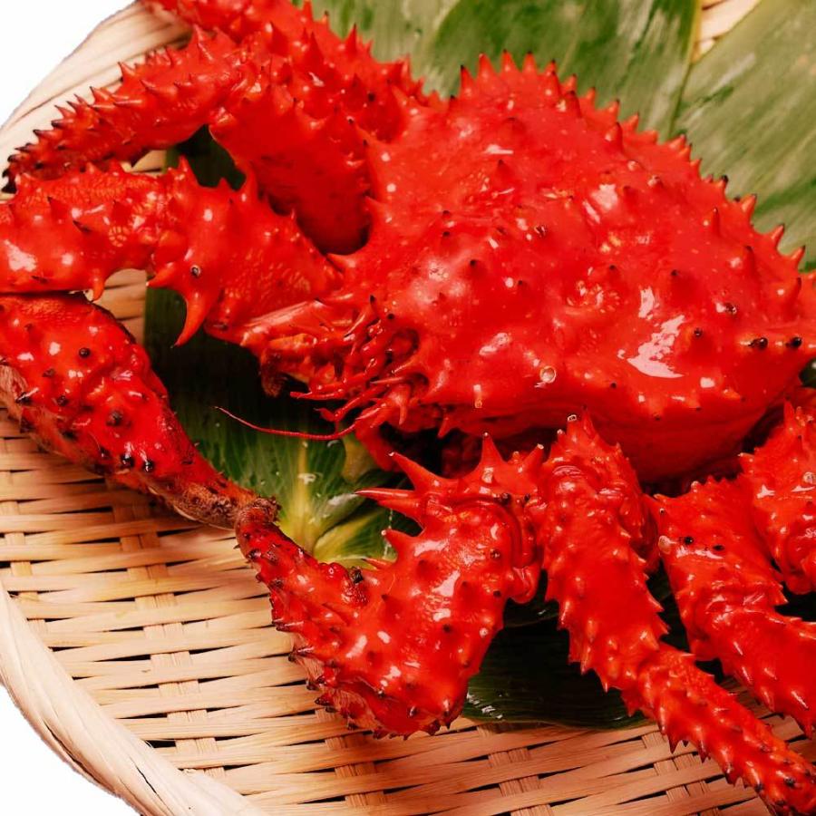 母の日 22 送料無料 花咲ガニ 姿 1尾 850g前後 花咲蟹 北海道 はなさきがに カニ かに 海鮮ギフト かに鍋 札幌場外市場 グルメ 父の日 Genki Hanasaki Sugata 北海道お土産ギフト岡田商店 通販 Yahoo ショッピング