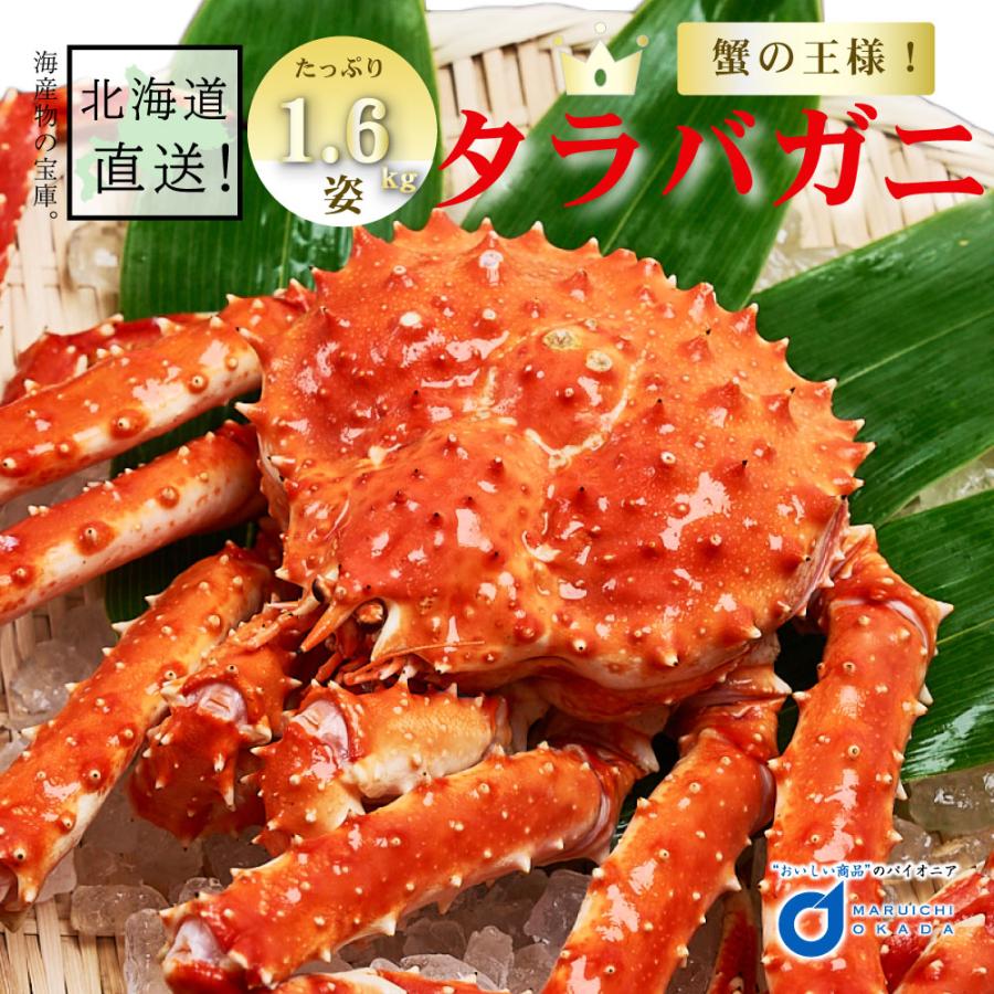 送料無料 たらばがに たらばがに 姿 Taraba 1 6kg前後 北海道 たらばがに 御中元 Taraba たらば カニ かに 札幌場外市場 御中元 敬老の日 かに鍋 Genki Tarabagani16 海鮮ギフト グルメ お中元 北海道お土産ギフト岡田商店 ショッピング特売