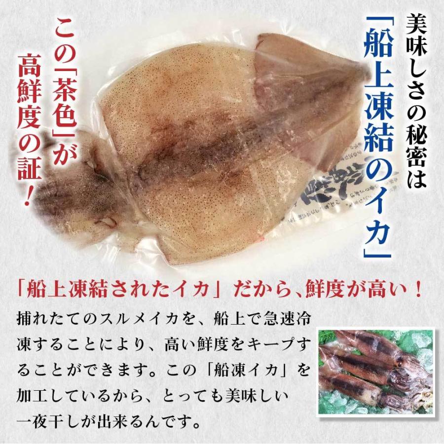 御中元 お中元 イカ いか 冷凍 北海道産 青森県産 スルメイカ 送料無料 2枚セット 国内送料無料 バーベキュー q お取り寄せ 一夜干し 訳あり シーフード